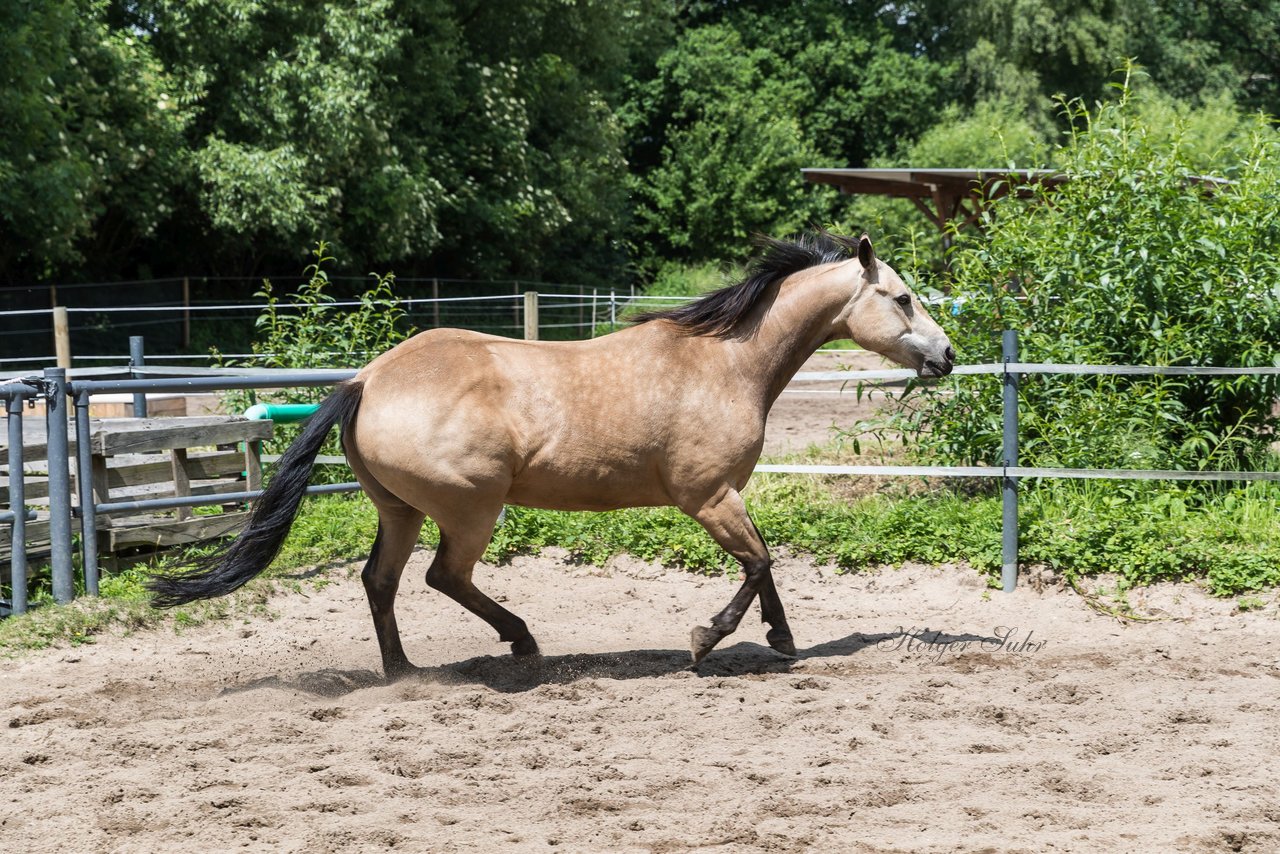 Bild 169 - Vivi